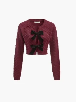 Bow Knotted Cozy Crop Knit Top