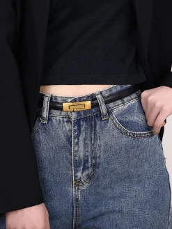 Ceres Belt