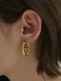 Golden Pig Nose Earrings