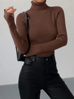 Minimalist Turtleneck Slim Knit Top