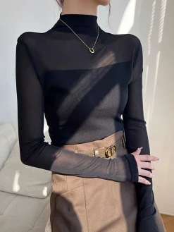 Mock Neck Sheer Mesh Panel Blouse