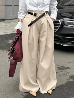 Pleated Draped Baggy Pants Without Belt