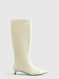 Pointed Toe Kitten Knee High Boots