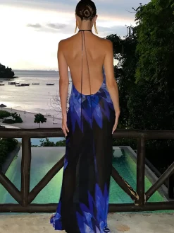 Print Low Cut Halter Backless Long Dress
