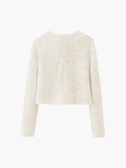 Sequined Velvet Bowknot Decor Blouse