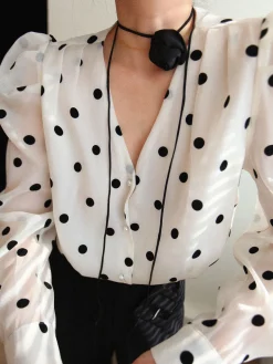 Sheer Polka Dot Blouse