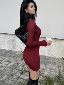 Tulle Sheer Panel Sweater Dress