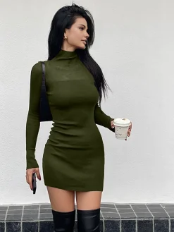 Tulle Sheer Panel Sweater Dress