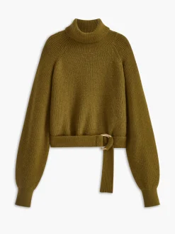 Turtleneck Belted Cozy Sweater