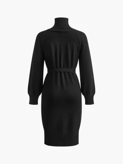 Turtleneck Button Belted Sweater Dress