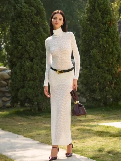 Turtleneck Semi-Sheer Slim Long Dress Without Belt
